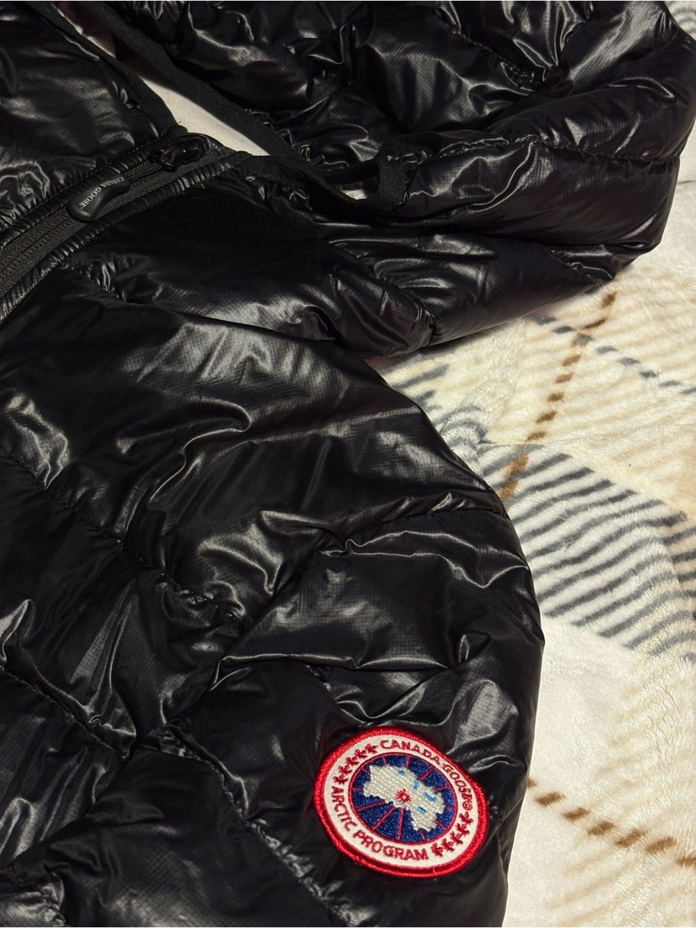 Canada Goose